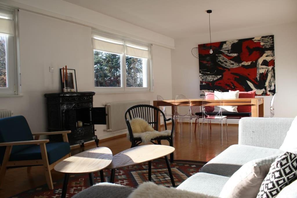 Superb Apt- Garden- 3 Parkings, Near Petite Venise ! Colmar