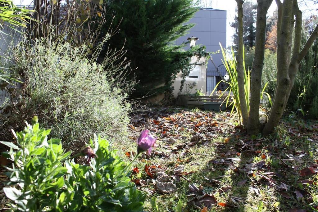 Superb Apt- Garden- 3 Parkings, Near Petite Venise ! Apartment Colmar