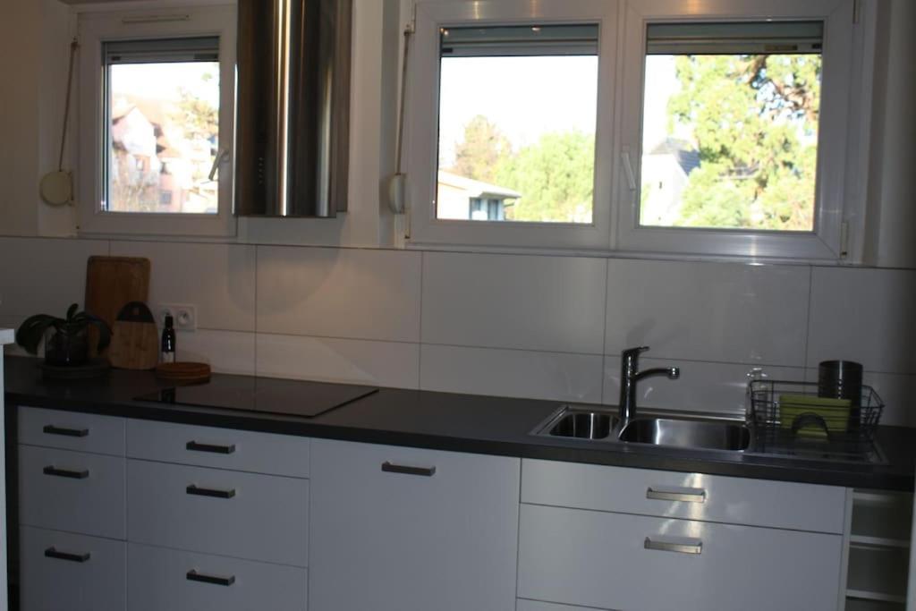 Apartment Superb Apt- Garden- 3 Parkings, Near Petite Venise ! Colmar