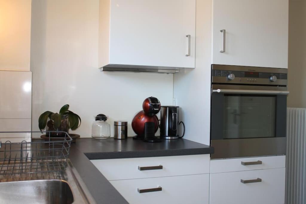 Apartment Superb Apt- Garden- 3 Parkings, Near Petite Venise ! Colmar
