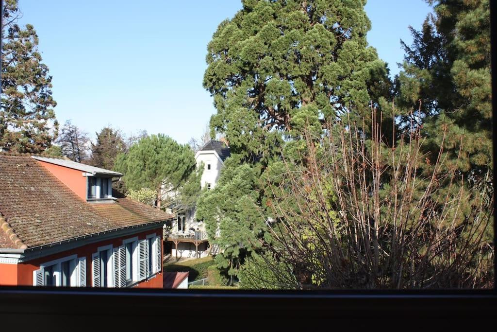 Superb Apt- Garden- 3 Parkings, Near Petite Venise ! Apartment Colmar